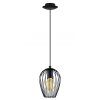 Eglo NEWTOWN Pendelleuchte Schwarz, 1-flammig