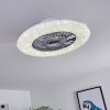 Petrovac Deckenventilator LED Chrom, Weiß, 1-flammig, Fernbedienung