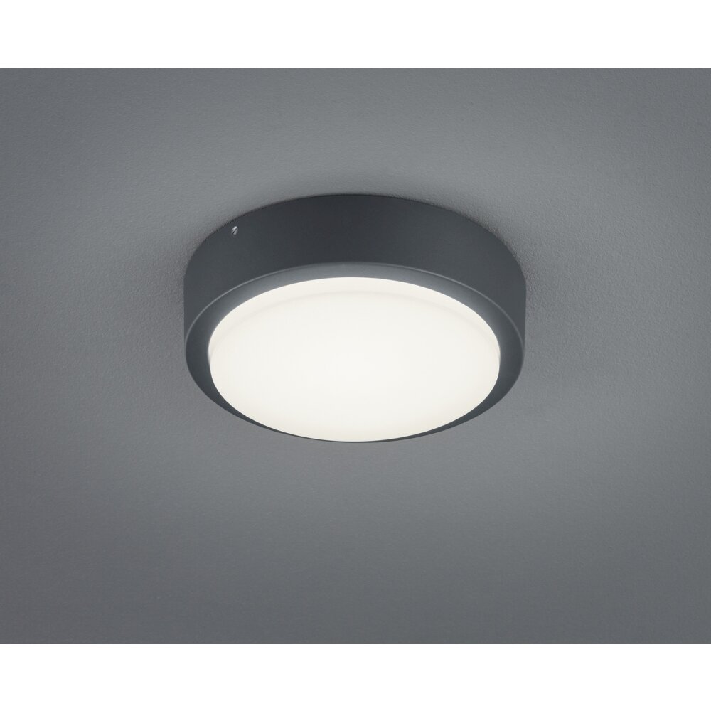 Trio Leuchten BREG Außendeckenleuchte LED Anthrazit, 1-flammig main product photo