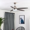 Valeria Deckenventilator Chrom, Holz hell, Nickel-Matt, 1-flammig