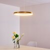 Canisteo Hängeleuchte LED Gold, 1-flammig