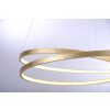 Paul Neuhaus ROMAN Pendelleuchte LED Gold, 1-flammig