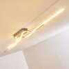 Jamjo Deckenleuchte LED Nickel-Matt, 1-flammig
