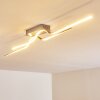 Jamjo Deckenleuchte LED Nickel-Matt, 1-flammig