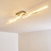 Jamjo Deckenleuchte LED Nickel-Matt, 1-flammig