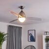 Varazze Deckenventilator Nickel-Matt, Transparent, Klar, 1-flammig, Fernbedienung