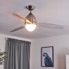 Varazze Deckenventilator Nickel-Matt, Transparent, Klar, 1-flammig, Fernbedienung