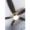 Globo AZURA Ventilator Nickel-Matt, 1-flammig