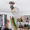 Bitterroot Deckenleuchte Braun, Holz dunkel, 1-flammig