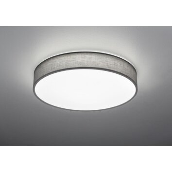 Trio Leuchten LUGANO Deckenleuchte LED Grau 621914011