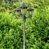 Lignac Kandelaber Schwarz, 3-flammig