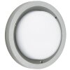 Albert 6410 Außendeckenleuchte LED Silber, 1-flammig