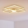 Narpes Deckenleuchte LED Nickel-Matt, 1-flammig