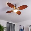 Nicosia Deckenventilator Holz dunkel, Nickel-Matt, 1-flammig