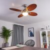 Nicosia Deckenventilator Holz dunkel, Nickel-Matt, 1-flammig