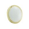 Eglo PLANET 1 Wand- und Deckenleuchte Messing