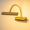 Trio Leuchten CURTIS Wandleuchte LED Altmessing, Messing, 1-flammig