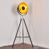 Jupiter Stehlampe Schwarz-Gold, 1-flammig Jupiter Stehlampe Schwarz-Gold, 1-flammig