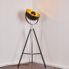 Jupiter Stehlampe Schwarz-Gold, 1-flammig Jupiter Stehlampe Schwarz-Gold, 1-flammig