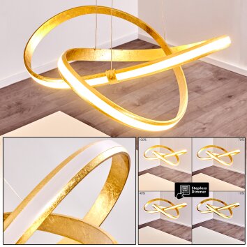 Woyens Pendelleuchte LED Gold, 1-flammig