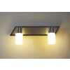 Trio Leuchten CLAPTON Wandleuchte LED Aluminium, Chrom, Edelstahl, 2-flammig