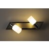 Trio Leuchten CLAPTON Wandleuchte LED Aluminium, Chrom, Edelstahl, 2-flammig