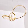 Woyens Pendelleuchte LED Gold, 1-flammig