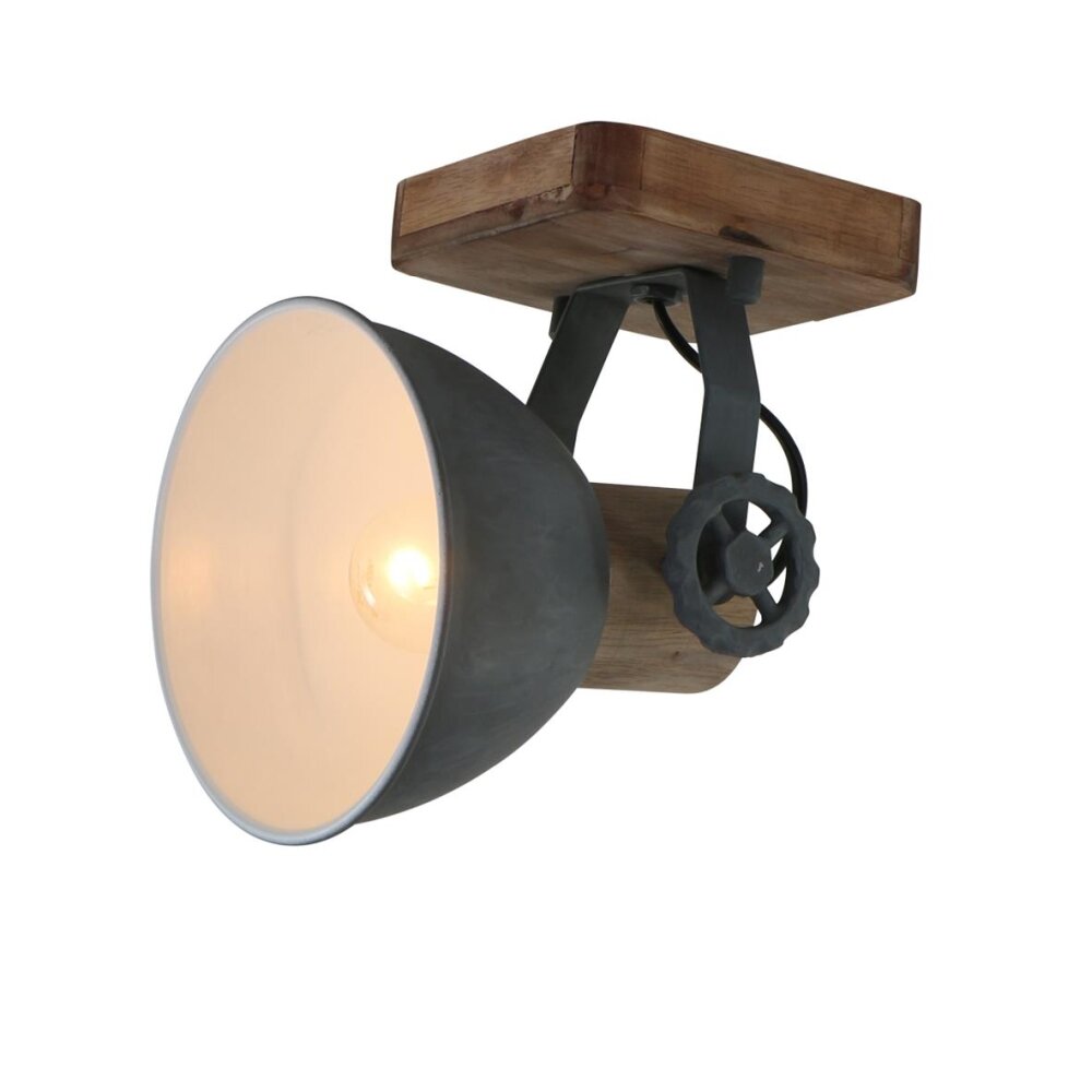 Steinhauer GEARWOOD Strahler Grau, 1-flammig main product photo