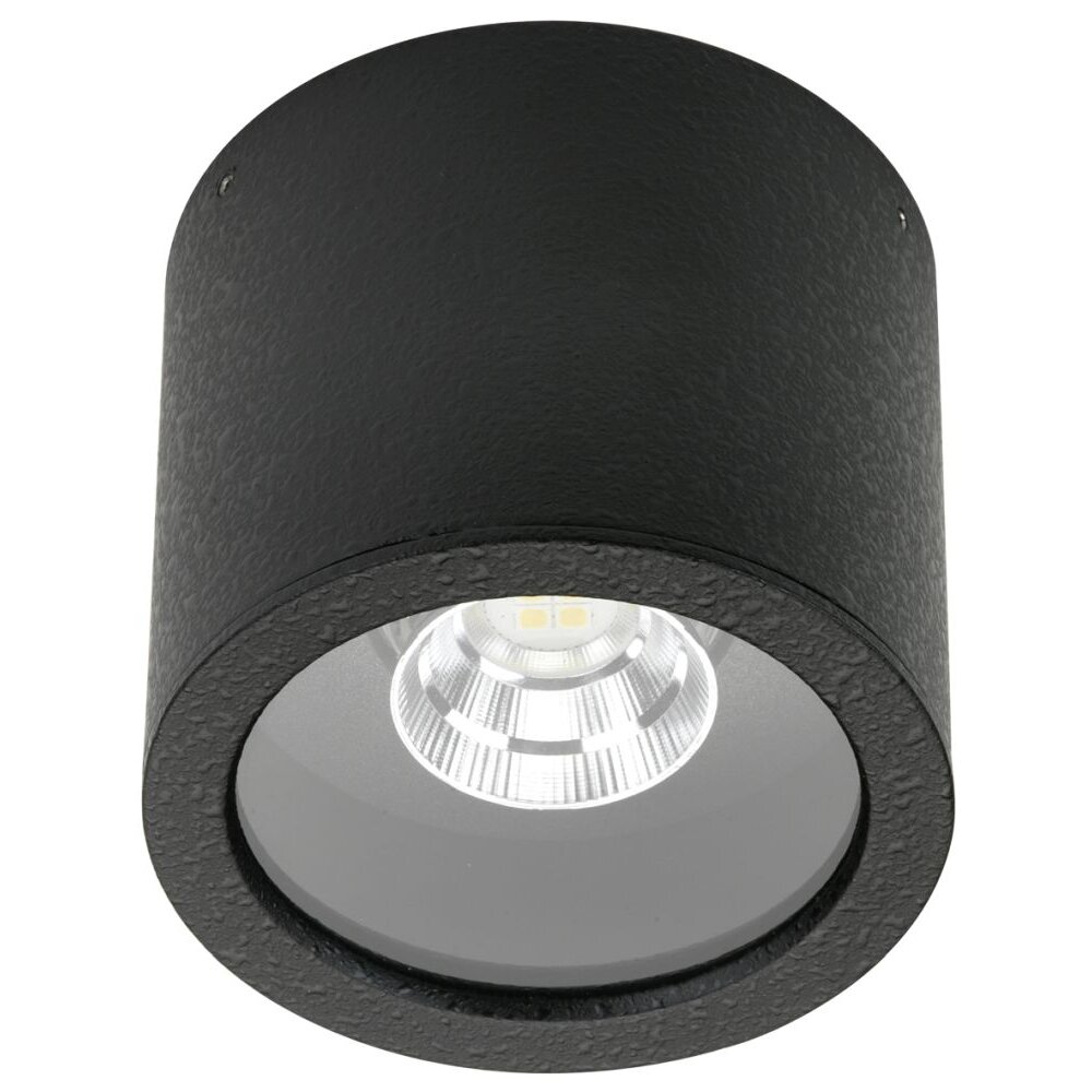 Albert 2319 Deckenaufbauleuchte LED Schwarz, 1-flammig main product photo
