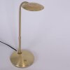 Steinhauer Zenith Tischleuchte LED Messing, 1-flammig