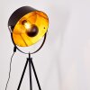 Jupiter Stehleuchte Schwarz-Gold, 1-flammig