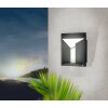 Eglo Leuchten TREVIOLO Wandleuchte LED Anthrazit, 2-flammig