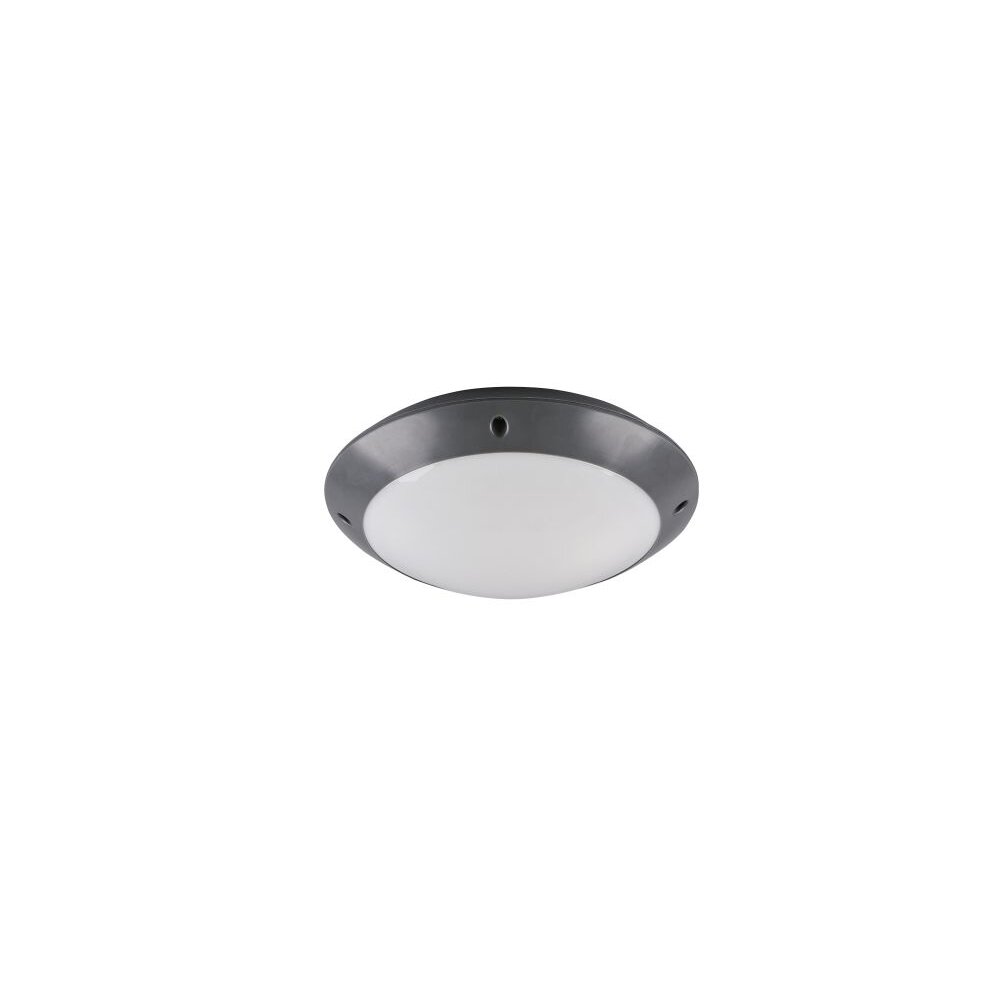 Reality CAMARO Aussendeckenleuchte Anthrazit, 1-flammig main product photo
