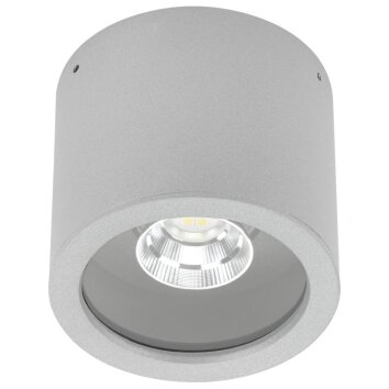 Albert 2319 Deckenaufbauleuchte LED Silber, 1-flammig