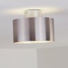 Baraboo Deckenleuchte LED Nickel-Matt, 2-flammig