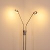 Gulkana Stehleuchte LED Nickel-Matt, 2-flammig