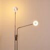 Gulkana Stehleuchte LED Nickel-Matt, 2-flammig