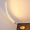 Nagu Stehleuchte LED Gold, 1-flammig