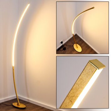 Nagu Stehleuchte LED Gold, 1-flammig