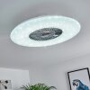 Petrovac Deckenventilator LED Chrom, Weiß, 1-flammig, Fernbedienung