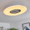 Petrovac Deckenventilator LED Chrom, Weiß, 1-flammig, Fernbedienung