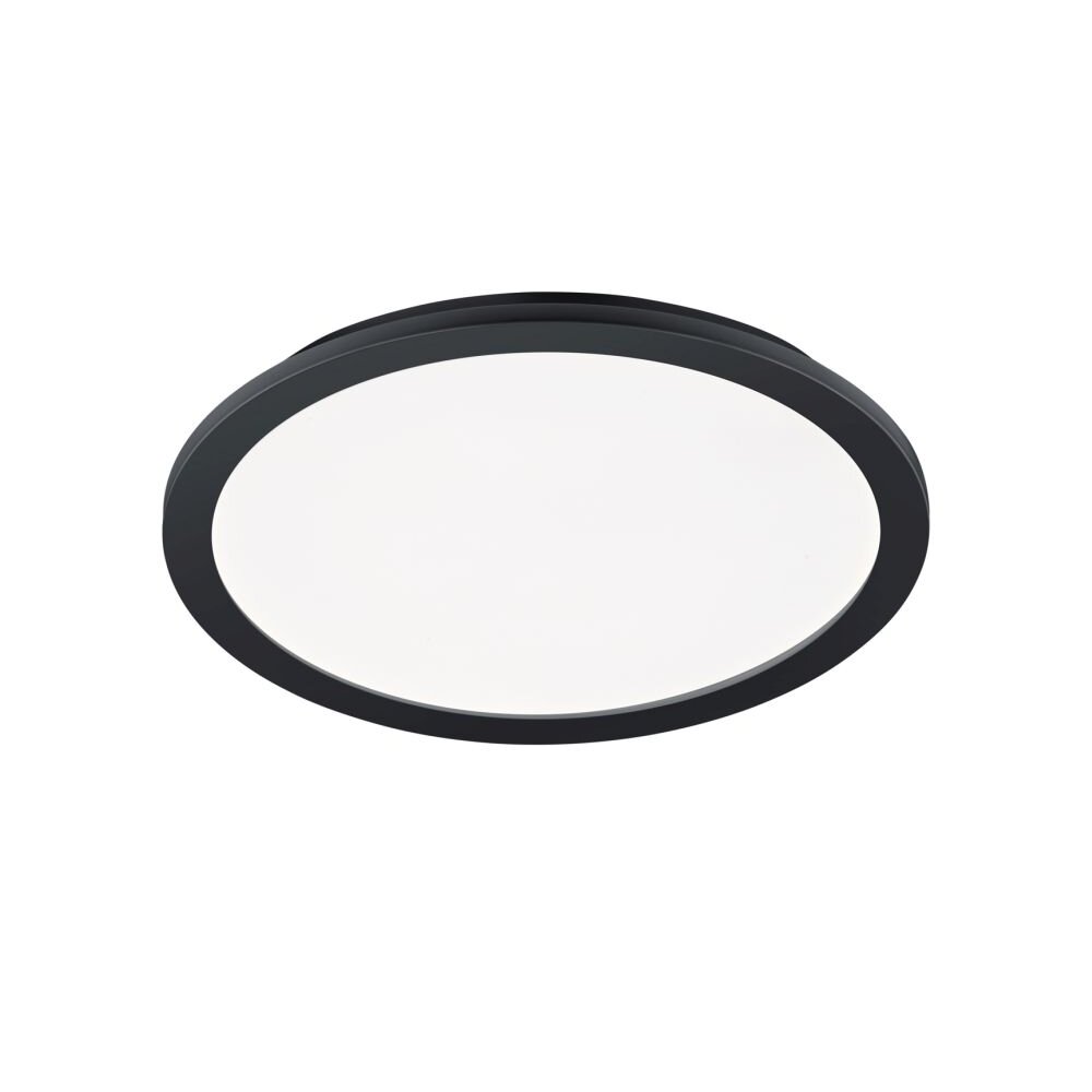 Reality CAMILLUS Deckenleuchte LED Schwarz, 1-flammig main product photo