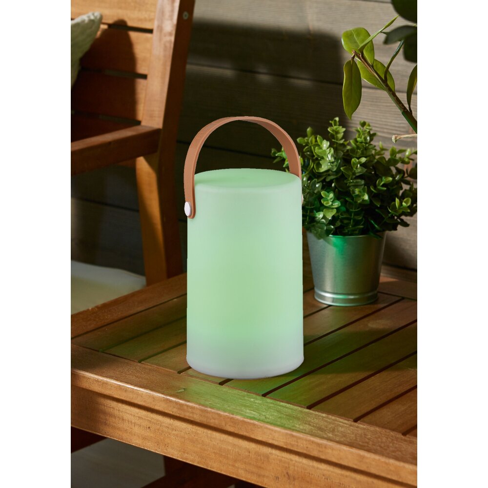 Reality ARUBA Aussenleuchte LED Weiß, 1-flammig, Farbwechsler main product photo