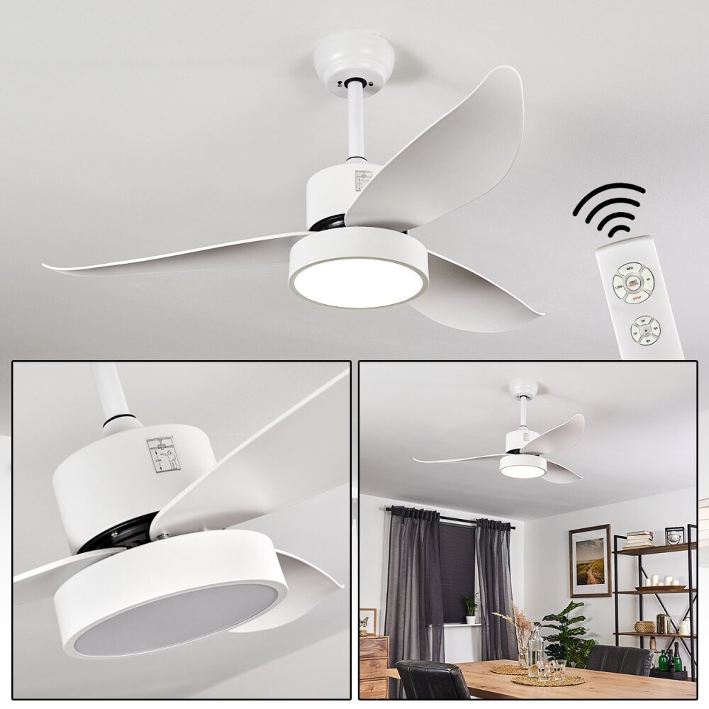 Doha Deckenventilator LED Weiß, 1-flammig, Fernbedienung main product photo