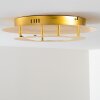 Springdale Deckenleuchte LED Gold, 1-flammig