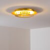 Springdale Deckenleuchte LED Gold, 1-flammig