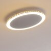 Aitrach Deckenleuchte LED Silber, 1-flammig