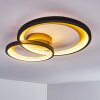 Baiyin Deckenleuchte LED Schwarz-Gold, 1-flammig