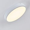 Broglen Deckenleuchte LED Weiß, 1-flammig