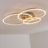 Chilkat Deckenleuchte LED Nickel-Matt, 1-flammig
